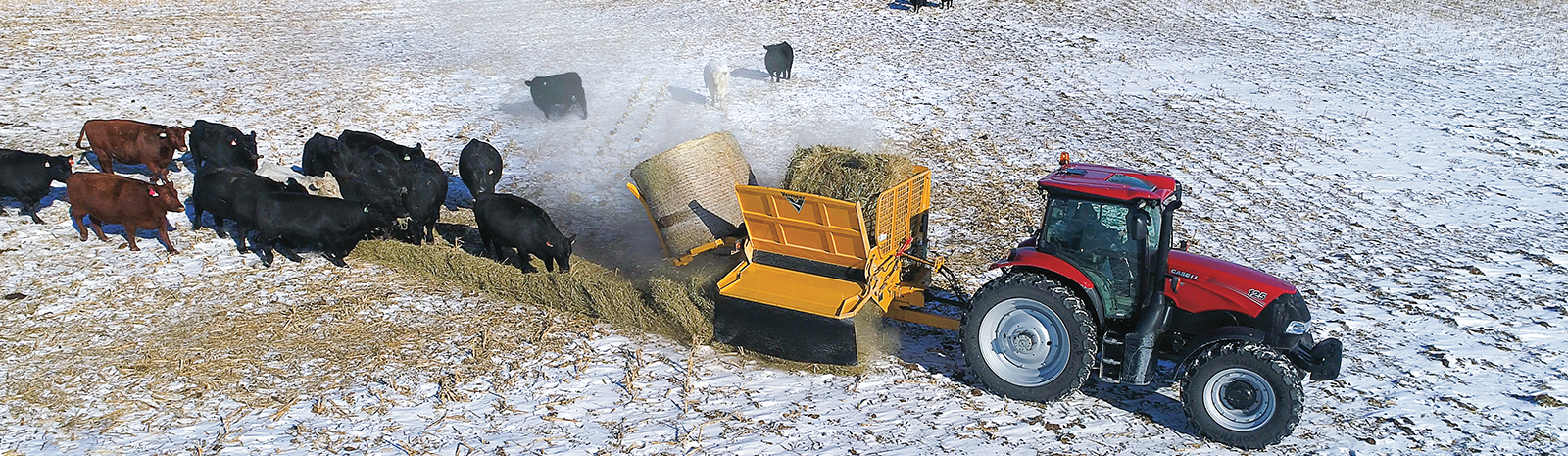BPX9010-Bale-Processor_action_1